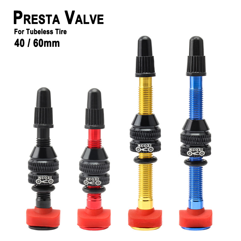 MTB Mountain Bike Presta Valve - Mountain Biking In French ulasan dan harga