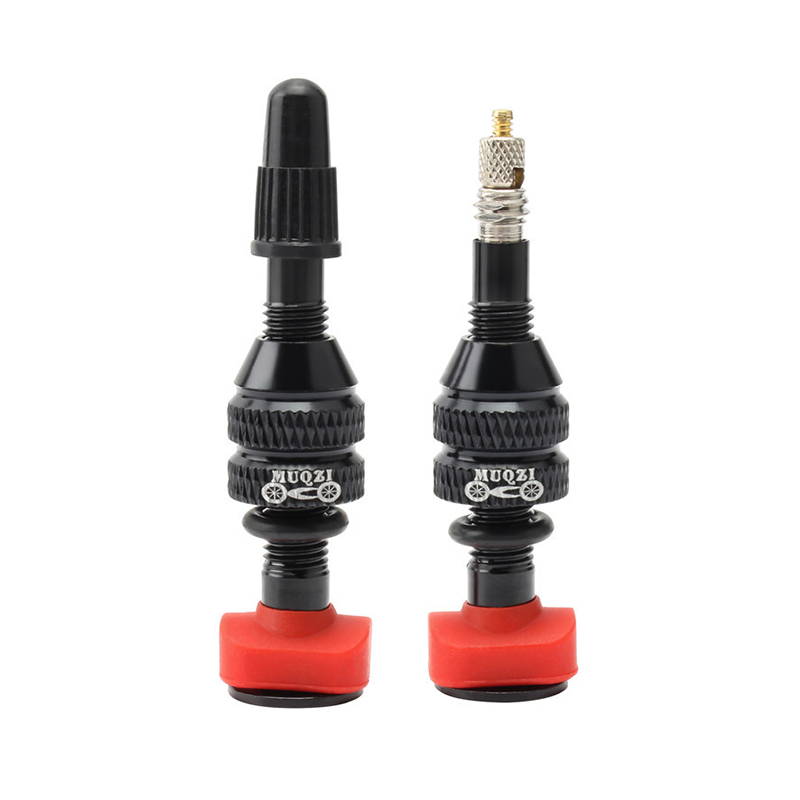 MTB Mountain Bike Presta Valve - Mountain Biking In French ulasan dan harga