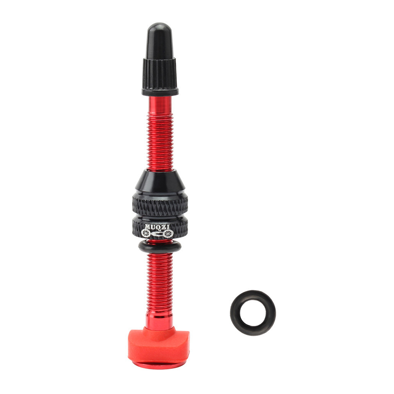 MTB Mountain Bike Presta Valve - Mountain Biking In French ulasan dan harga