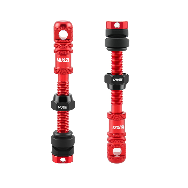 Alloy Bike Tubeless Presta Val - Mountain Biking In French ulasan dan harga